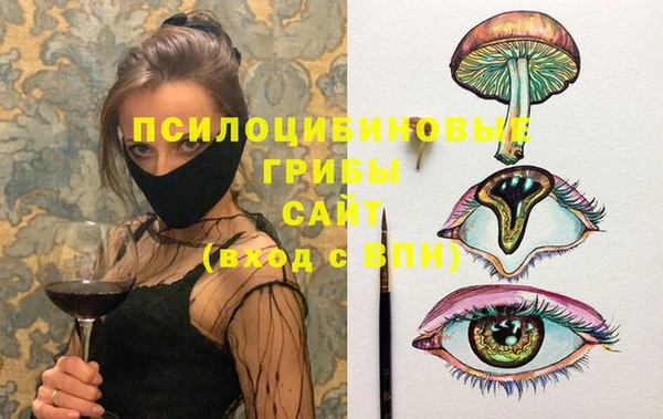 ГАЛЛЮЦИНОГЕННЫЕ ГРИБЫ Касимов