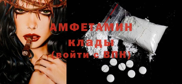 ГАЛЛЮЦИНОГЕННЫЕ ГРИБЫ Касимов