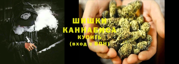 индика Карталы