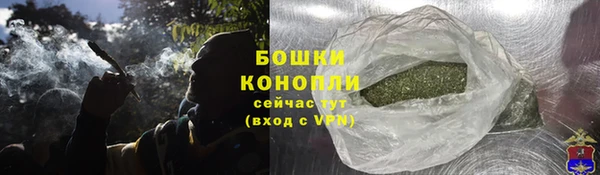 индика Карталы