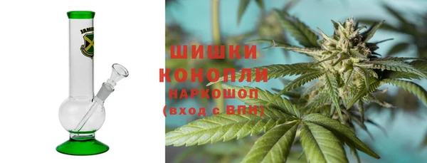 индика Карталы