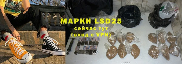 индика Карталы