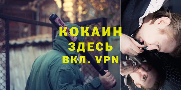 ГАЛЛЮЦИНОГЕННЫЕ ГРИБЫ Касимов